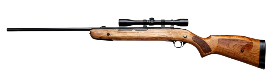 bsa mercury air rifle